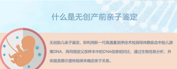 在西双版纳怀孕几个月怎么做产前亲子鉴定,在西双版纳怀孕几个月做亲子鉴定准确吗