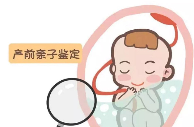 西双版纳怀孕期间需要怎么做胎儿亲子鉴定,西双版纳无创产前亲子鉴定费用是多少